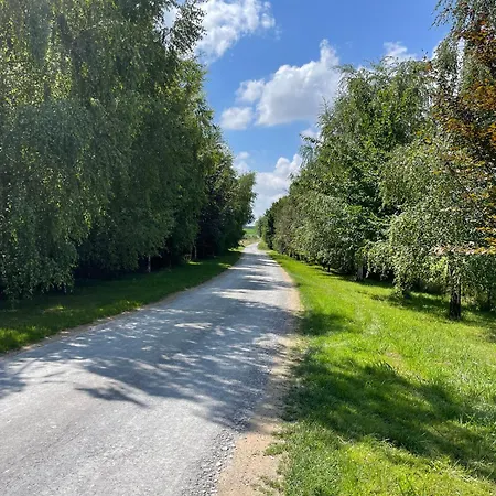 Le Clos Des Fontenis 15p Famille Nature Sault-Saint-Remy